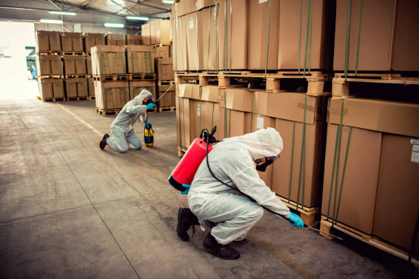 Best Pest Prevention Services  in Forestville, OH