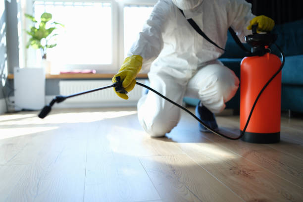 Reliable Forestville, OH Pest Control Solutions