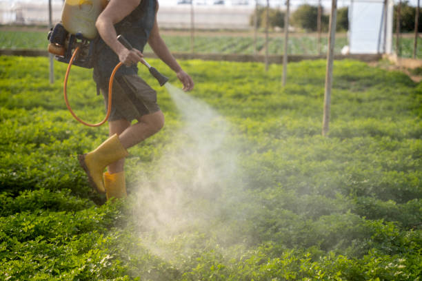 Best Ant Control Services  in Forestville, OH