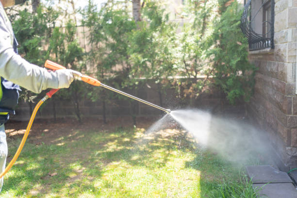 Best Residential Pest Control  in Forestville, OH