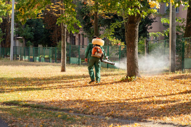 Best Commercial Pest Control Services  in Forestville, OH