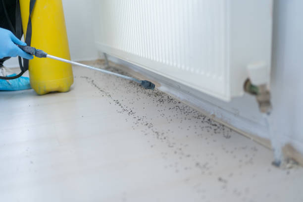 Best Mosquito Control Services  in Forestville, OH